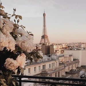 Meet your Posher, Evelyn